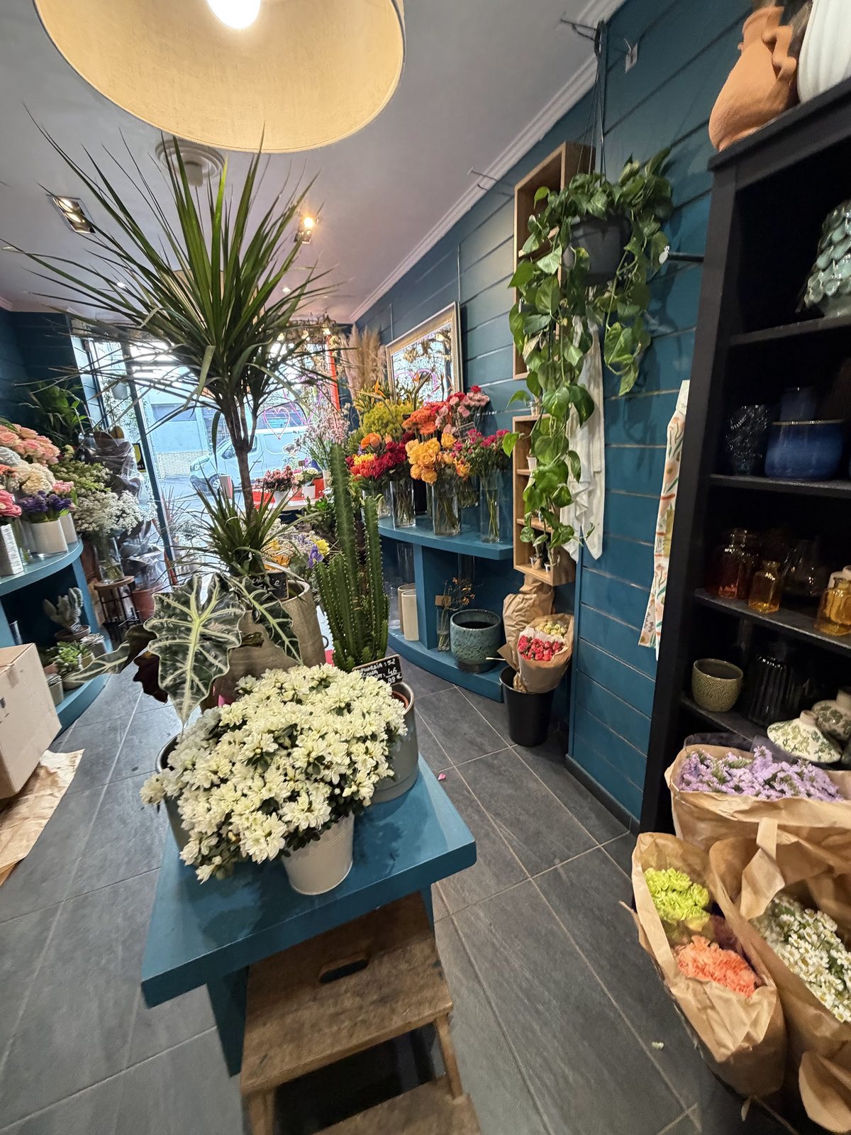 Allée de la boutique entre plantes vertes et fleurs
