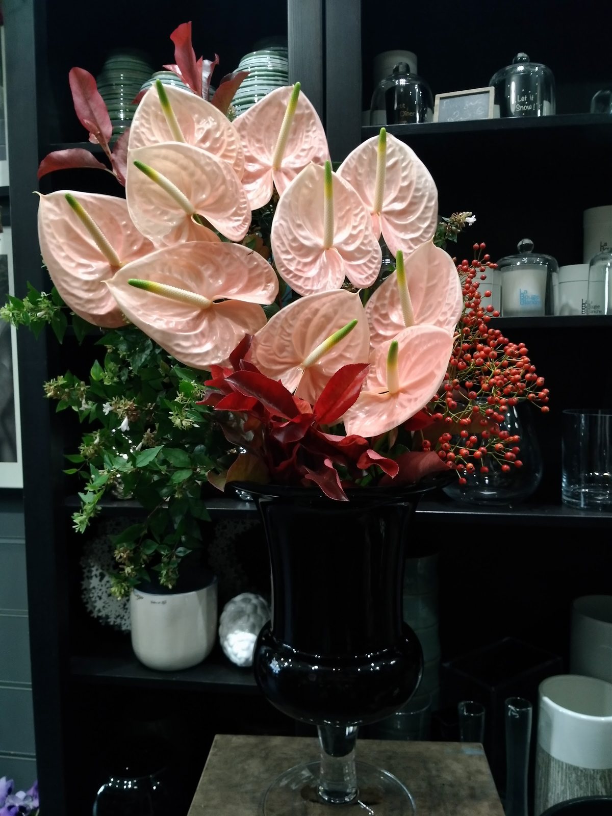 Anthuriums roses