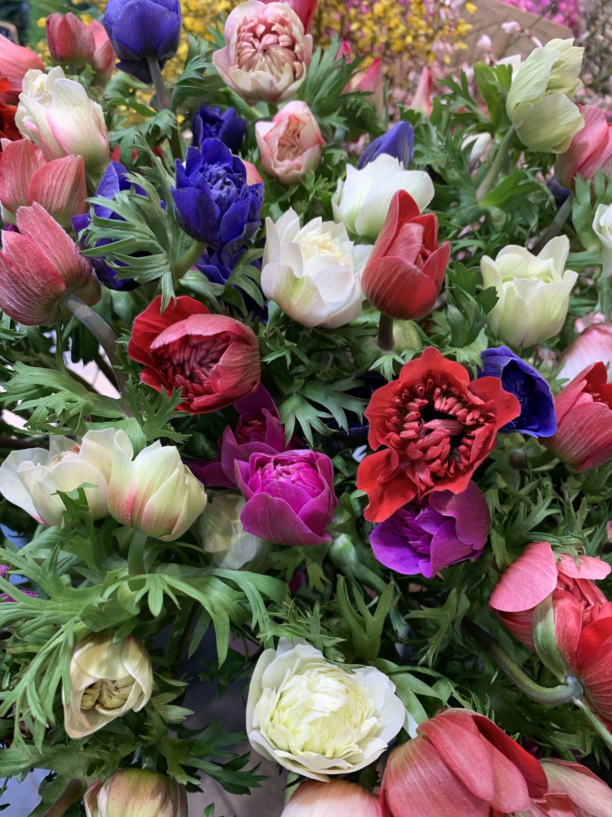 Bouquet d’anémones, renoncules et roses