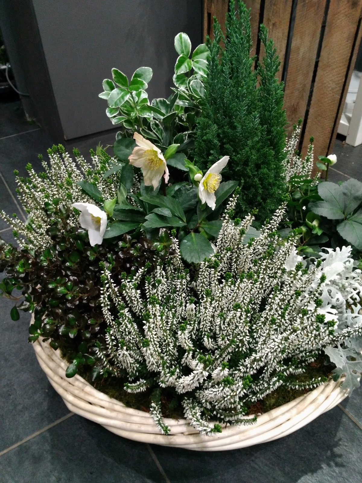 Coupe de bruyères et plantes d’automne
