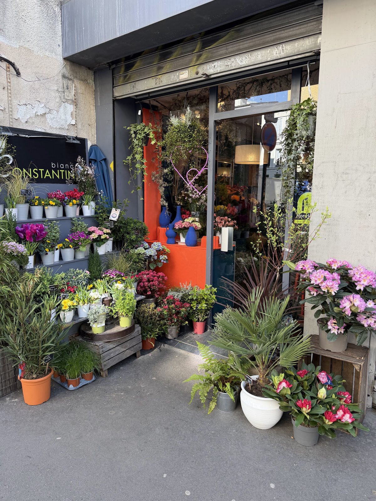 L’entrée de la boutique, plantes et fleurs en pot devant la vitrine