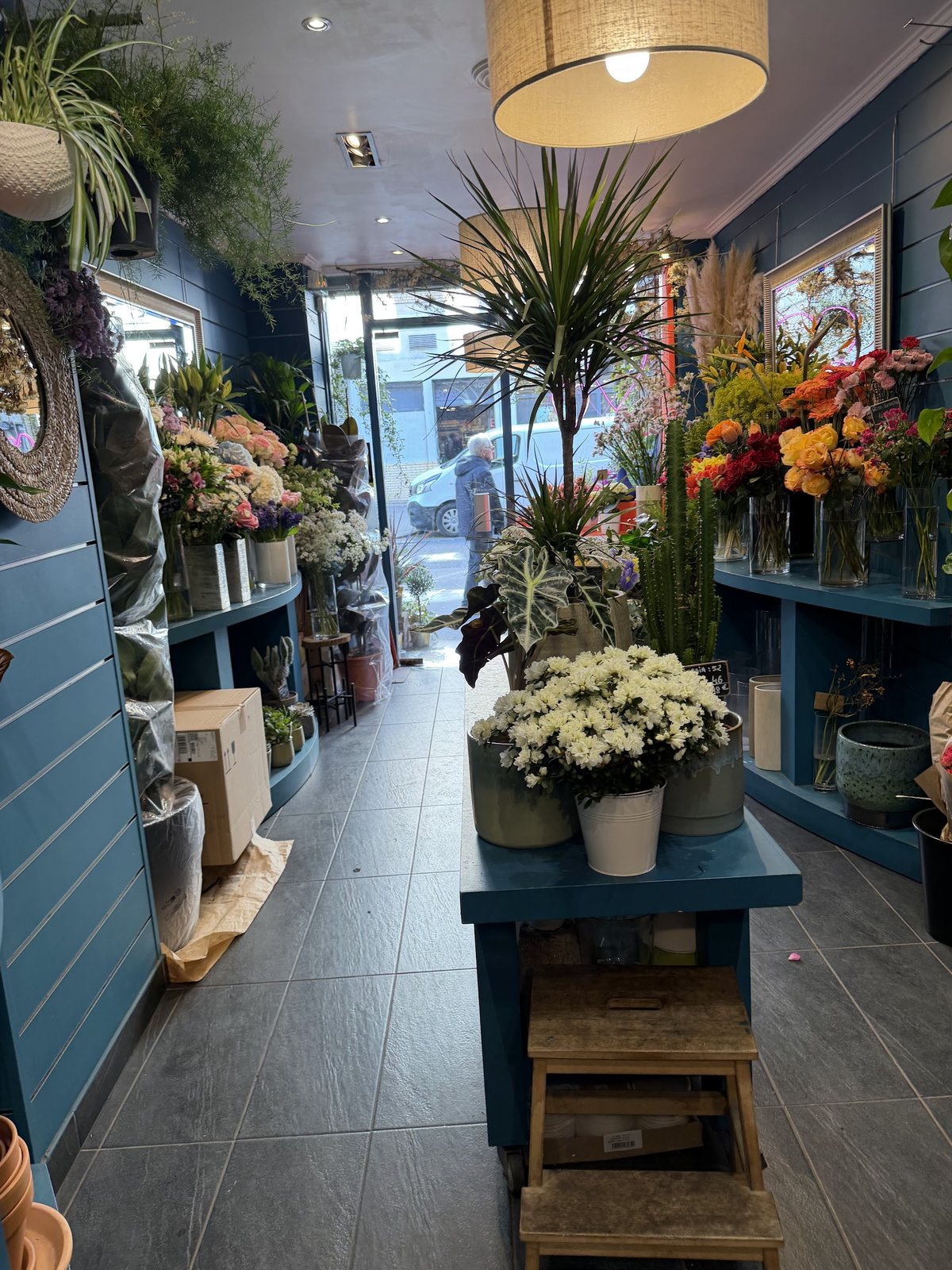 L’intérieur bleu canard : fleurs coupées, plantes et chrysanthèmes